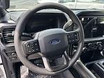 2025 Ford F-150 SuperCrew Cab 4x4 Pickup for sale #250224 - photo 14