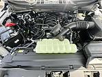 2025 Ford F-150 SuperCrew Cab 4x4 Pickup for sale #250224 - photo 30