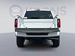 2025 Ford F-150 SuperCrew Cab 4x4 Pickup for sale #250401 - photo 27