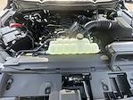 2025 Ford F-150 SuperCrew Cab 4x4 Pickup for sale #250401 - photo 31