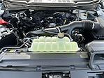 2025 Ford F-150 Regular Cab 4x2 Pickup for sale #250604 - photo 26