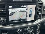2025 Ford F-150 SuperCrew Cab 4x4 Pickup for sale #250403 - photo 19