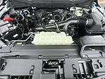 2025 Ford F-150 SuperCrew Cab 4x4 Pickup for sale #250532 - photo 29