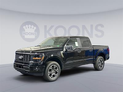 2025 Ford F-150 SuperCrew Cab 4x4 Pickup for sale #250551 - photo 1