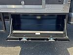 2023 Ford F-450 Regular Cab DRW 4x2 Box Van for sale #KFW250031A - photo 32