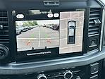 New 2025 Ford F-250 Platinum Crew Cab 4x4 Pickup for sale #KWF250197 - photo 19