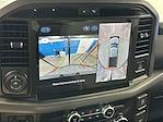 New 2025 Ford F-150 XLT SuperCrew Cab 4WD Pickup for sale #KWF250287 - photo 19