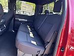 New 2025 Ford F-150 XLT SuperCrew Cab 4WD Pickup for sale #KWF250290 - photo 28