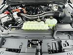New 2025 Ford F-150 XLT SuperCrew Cab 4WD Pickup for sale #KWF250358 - photo 36