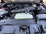 New 2025 Ford F-150 XLT SuperCrew Cab 4WD Pickup for sale #KWF250361 - photo 31