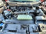 New 2025 Ford F-150 XLT SuperCrew Cab 4WD Pickup for sale #KWF250384 - photo 34