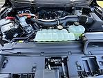 New 2025 Ford F-150 XLT SuperCrew Cab 4x4 Pickup for sale #KWF250398 - photo 31