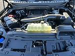 New 2025 Ford F-150 Raptor SuperCrew Cab 4WD Pickup for sale #KWF250441 - photo 32