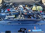 New 2025 Ford F-350 Platinum Crew Cab 4WD DRW Pickup for sale #KWF250563 - photo 39