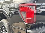 New 2025 Ford F-150 STX SuperCrew Cab 4WD Pickup for sale #KWF250813 - photo 15