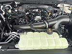 New 2025 Ford F-150 XL Regular Cab 4WD Pickup for sale #KWF250814 - photo 40