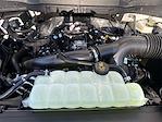 New 2025 Ford F-150 XL Regular Cab for sale #KWF250870 - photo 38