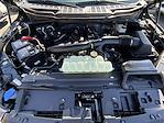 2025 Ford F-150 SuperCrew Cab 4WD Pickup for sale #KWF250873 - photo 35