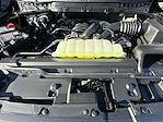 2025 Ford F-150 SuperCrew Cab 4WD Pickup for sale #KWF250887 - photo 34