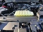 2025 Ford F-150 SuperCrew Cab 4WD Pickup for sale #KWF250909 - photo 35