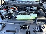 New 2025 Ford F-150 XLT SuperCrew Cab for sale #KWF250912 - photo 33