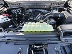 2025 Ford F-150 SuperCrew Cab 4WD Pickup for sale #KWF250913 - photo 39