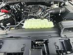 2025 Ford F-150 Regular Cab 4WD Pickup for sale #KWF251038 - photo 33