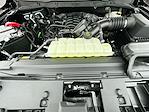 2025 Ford F-150 Regular Cab 4WD Pickup for sale #KWF251221 - photo 33