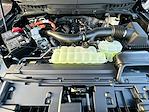 2025 Ford F-150 SuperCrew Cab 4WD Pickup for sale #KWF251245 - photo 38