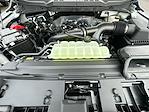 2025 Ford F-150 Regular Cab RWD Pickup for sale #KWF251255 - photo 32