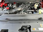 New 2026 Ford F-250 XL Crew Cab 4WD Pickup for sale #KWF260418 - photo 29