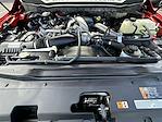 New 2026 Ford F-250 XL Crew Cab 4WD Pickup for sale #KWF260680 - photo 35