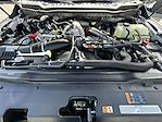 New 2026 Ford F-450 Platinum Crew Cab 4WD DRW Pickup for sale #KWF260681 - photo 39