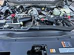 2026 Ford F-450 Crew Cab DRW 4WD Pickup for sale #KWF260879 - photo 35