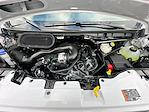 New 2026 Ford Transit 250 Medium Roof Empty Cargo Van for sale #KWF261076 - photo 37