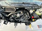 New 2026 Ford Transit 250 Medium Roof Empty Cargo Van for sale #KWF261136 - photo 37