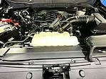 2023 Ford F-150 SuperCrew Cab 4WD Pickup for sale #KWF261524A - photo 35