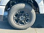 2026 Ford F-250 Crew Cab 4WD Pickup for sale #KWF261570 - photo 9