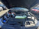 New 2026 Ford F-150 Platinum for sale #KWF261659 - photo 25