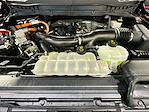 2024 Ford F-150 SuperCrew Cab 4WD Pickup for sale #KWFP241193 - photo 37