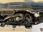 New 2024 Ford Transit 250 Low Roof Empty Cargo Van for sale #FC441226 - photo 27