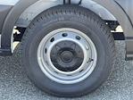 New 2025 Ford Transit 250 Medium Roof Empty Cargo Van for sale #FC450936 - photo 37