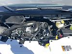 New 2025 Ford Transit 250 Medium Roof Empty Cargo Van for sale #FC450936 - photo 55
