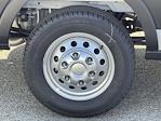 New 2025 Ford Transit 250 Low Roof Empty Cargo Van for sale #FC451129 - photo 11