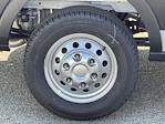 New 2025 Ford Transit 250 Low Roof Empty Cargo Van for sale #FC451129 - photo 38