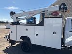 New 2024 Chevrolet Silverado 6500 Regular Cab 4x4 11' Knapheide Mechanics Body for sale #RH576784 - photo 9