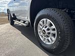 New 2026 Chevrolet Silverado 2500 Work Truck Regular Cab for sale #TF169118 - photo 8