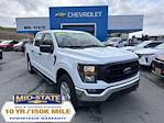 2023 Ford F-150 SuperCrew Cab 4WD Pickup for sale #14038002 - photo 1