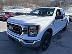 2023 Ford F-150 SuperCrew Cab 4WD Pickup for sale #14038153 - photo 10