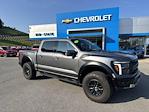 2024 Ford F-150 SuperCrew Cab 4WD Pickup for sale #14038924 - photo 1
